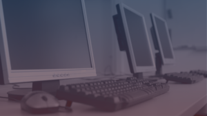 blog article